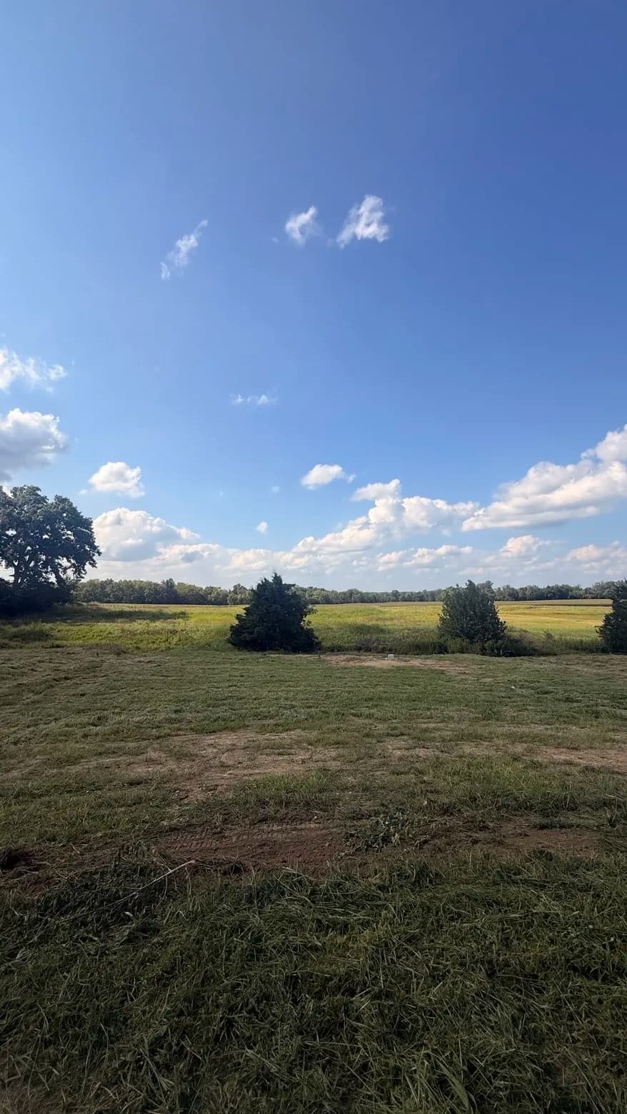 Gallery photos for 3 Acres of Overgrown Land Brought Back Under Control: Image #2