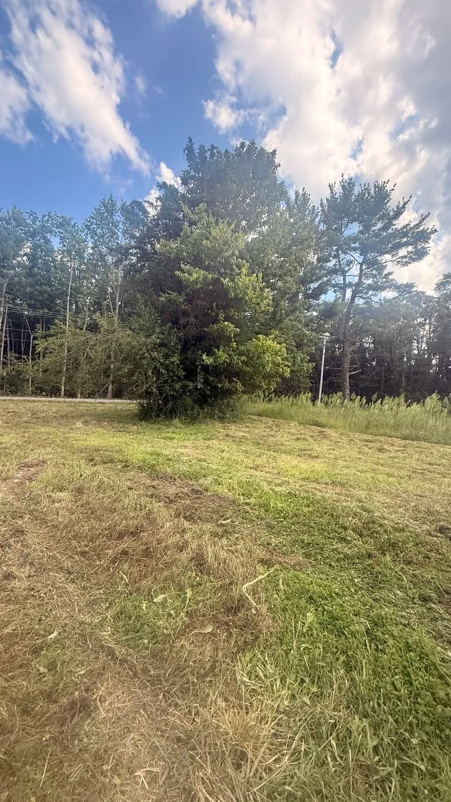 Gallery photos for 3 Acres of Overgrown Land Brought Back Under Control: Image #5
