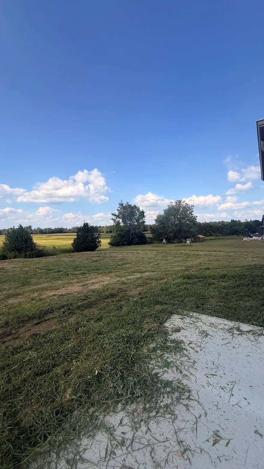 Gallery photos for 3 Acres of Overgrown Land Brought Back Under Control: Image #1