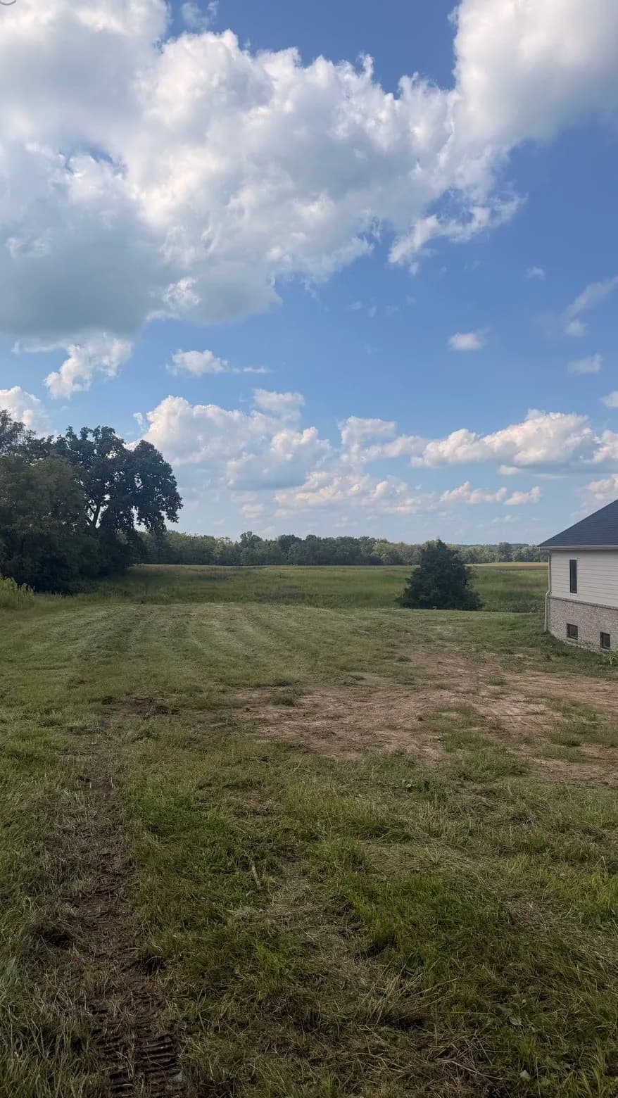 Gallery photos for 3 Acres of Overgrown Land Brought Back Under Control: Image #3