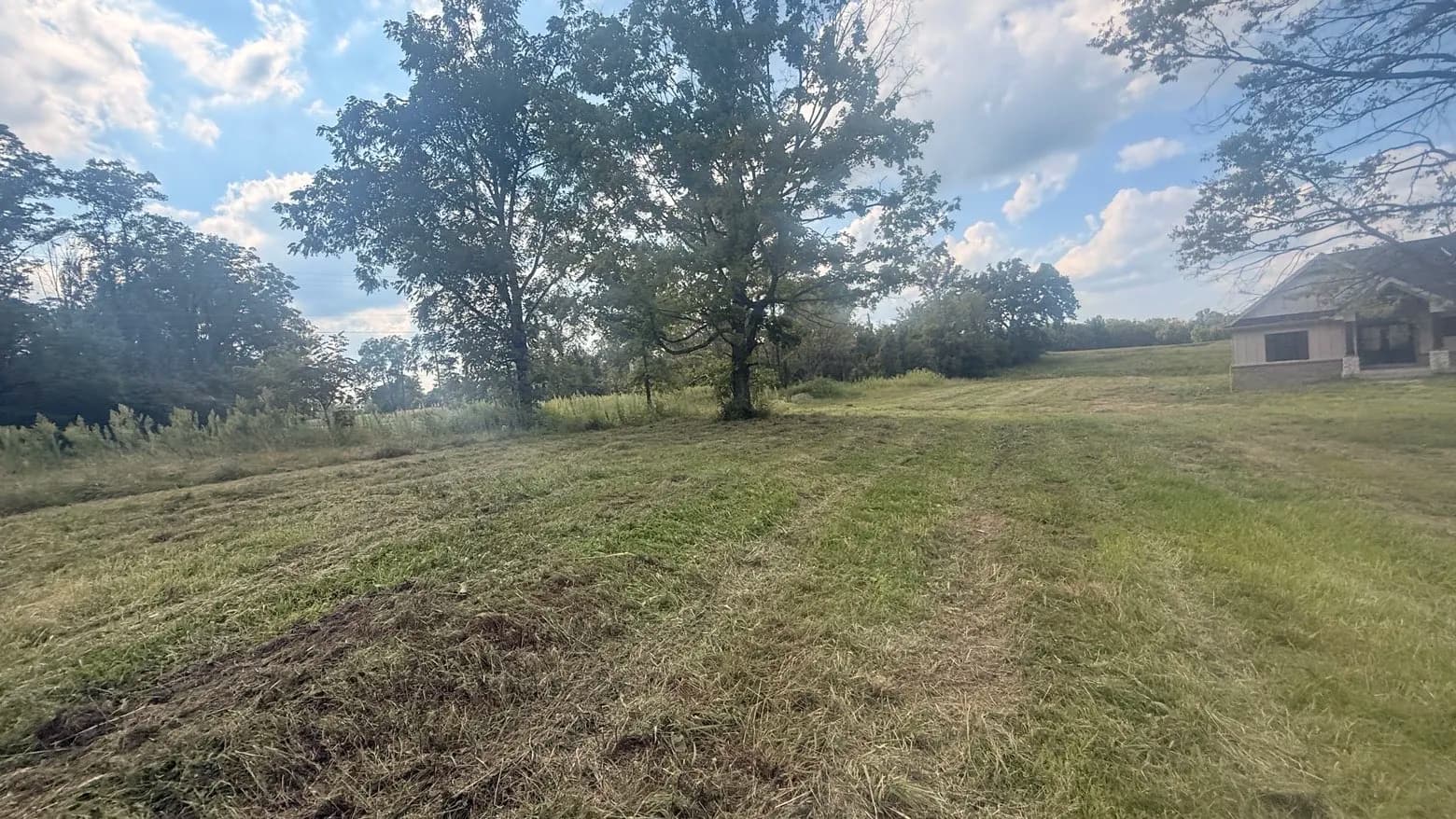 Gallery photos for 3 Acres of Overgrown Land Brought Back Under Control: Image #6